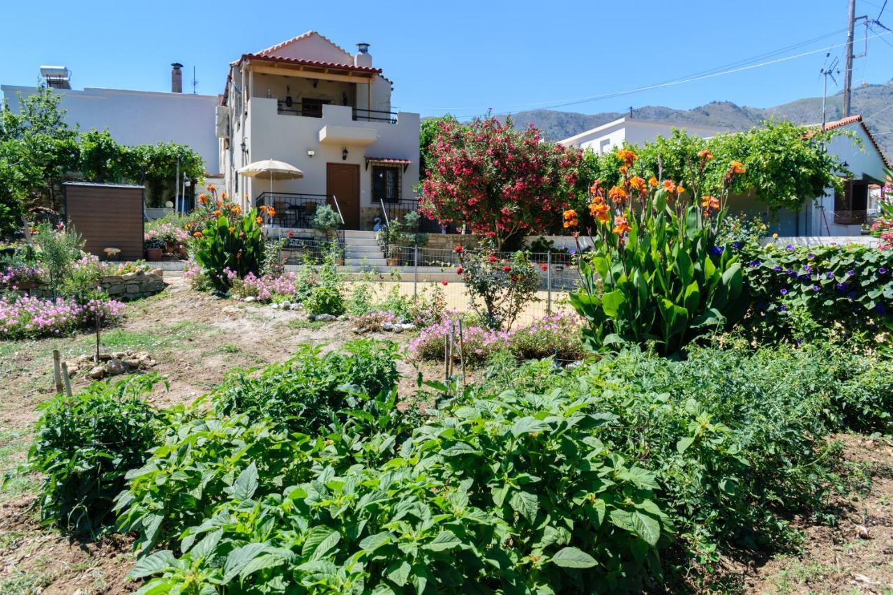 Casa Vasilia Traditional Home Kástellos Extérieur photo